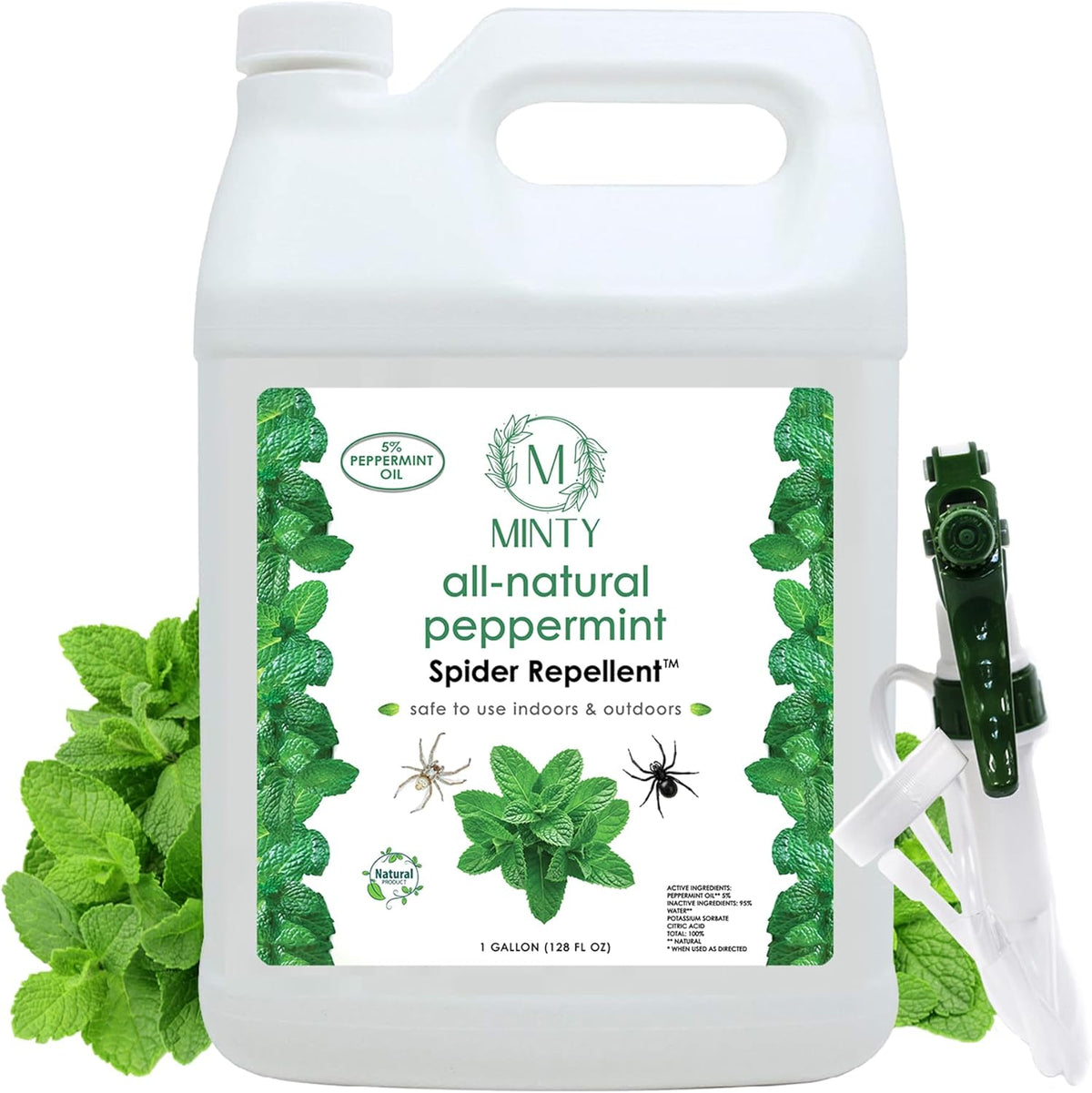 Minty Spider Repellent, Natural 5% Peppermint Oil Spray, Kills & Deters All Types of Spiders and
