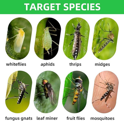 72 Pcs Classic Sticky Traps for Fungus Gnat (Plants), Flying Insect, Whitefly and Fly, Yellow