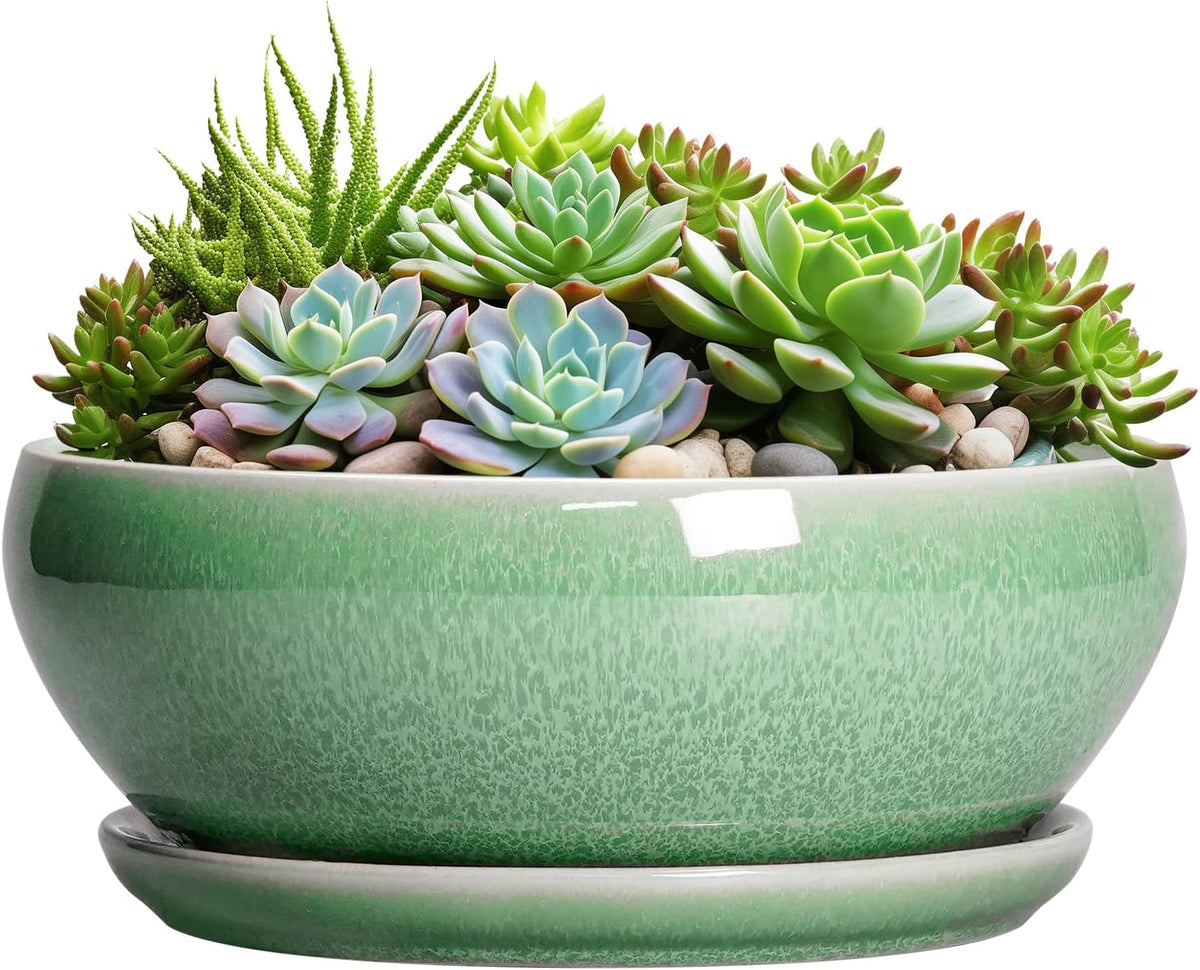 SQOWL Succulent Planter 12 Inch - Ceramic Bonsai Pots with Drainage Hole and Saucer, Large Shallow