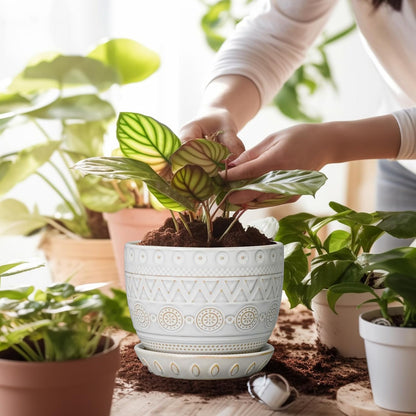 G EPGardening Ceramic Planters for Indoor Plants - 5 Inch Plant Pot for Outdoor Plants Succulent