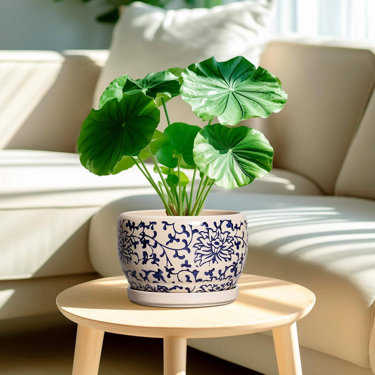 SQOWL Ceramic Planters for Indoor Plants - 8 inch Plant Pot with Drainage Hole and Saucer