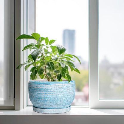 SQOWL Ceramic Plant Pots - 10 Inch Ceramic Flower Pots with Drainage Hole and Saucer, Round Large
