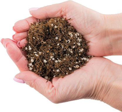 Gardenera Fern + Perlite Soil Mix - 10 Quart - for Repotting and Planting Succulents and Cactuses