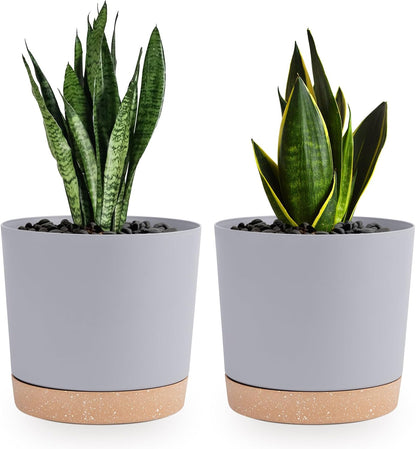 QCQHDU 6.5 inch Plant Pot, 2 Pack Planters for Indoor Plants with Drainage Holes & Saucer, Outdoor