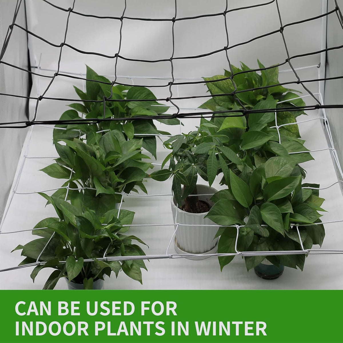 2 Pack Grow Tent Net Trellis Netting 4x4Ft Elastic Trellis Netting Includes 8 Iron Hooks Flexible