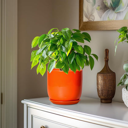 7 Inch Plant Pot - Ceramic Planter with Drainage Hole and Saucer, Modern Round Ceramic Flower Pot