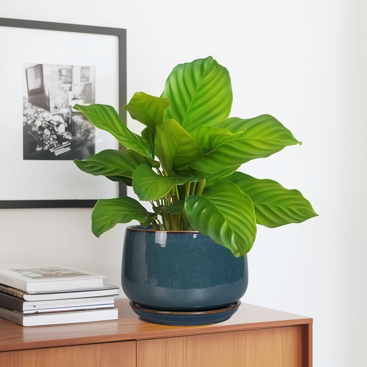 G EPGardening Ceramic Pot for Plants - Modern 7 Inch Round Planter with Drainage and Tray Indoor