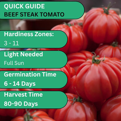 Woods Creek Seeds: Beefsteak Tomato Seeds for Planting - Heirloom Tomato Seeds for Planting