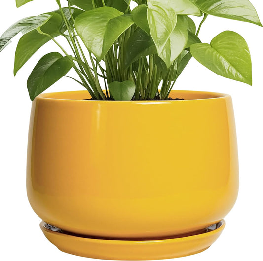 G EPGardening Ceramic Flower Pot - 9 Inch Plant Pots for Indoor Outdoor Plants, Round Ceramic