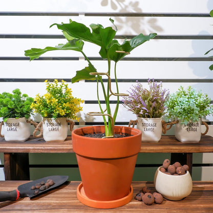 3PCS Indoor Plant Support – Durable Metal Garden Stakes for Monstera, Flowers & Herbs – 12.6 Inch