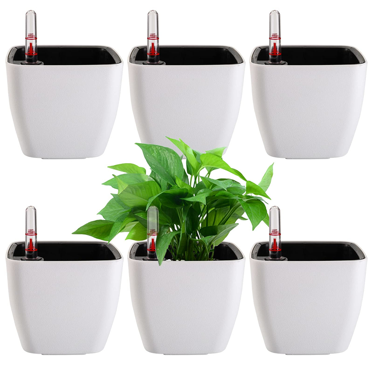 yarlung 6 Pack Self Watering Planter with Water Level Indicator, 5 Inch Plastic Plant Flower Pots