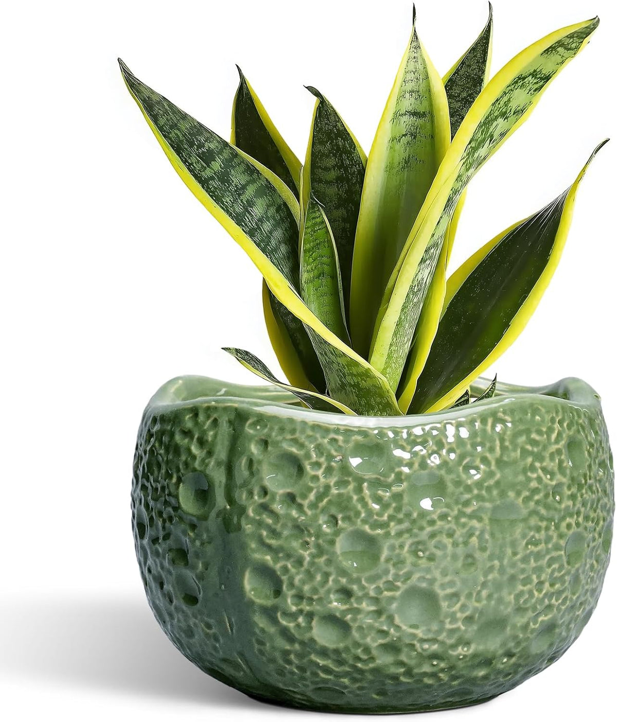 8 Inch Plant Pot - Ceramic Pots for Plants with Drainage Hole, Round Decorative Plant Pots for