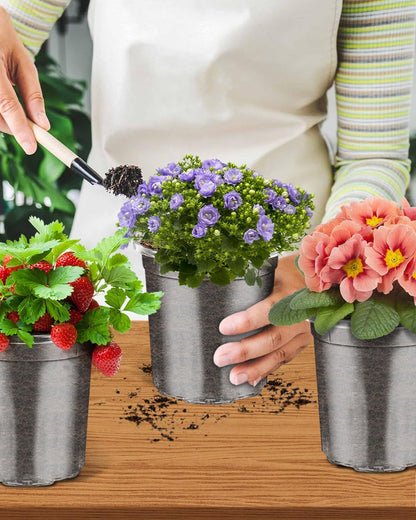 PACETAP 30Pack 5 Inch Reinforced Clear Nursery Pots with Drainage Holes, Variety Pack Plastic Plant