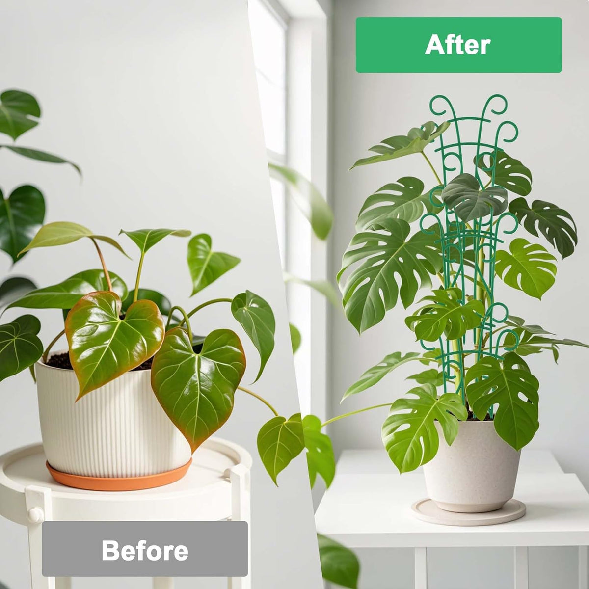 Plant Trellis for Potted Plants 4 Pack Stackable Indoor Outdoor Climbing Houseplant Support with