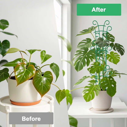 Plant Trellis for Potted Plants 4 Pack Stackable Indoor Outdoor Climbing Houseplant Support with