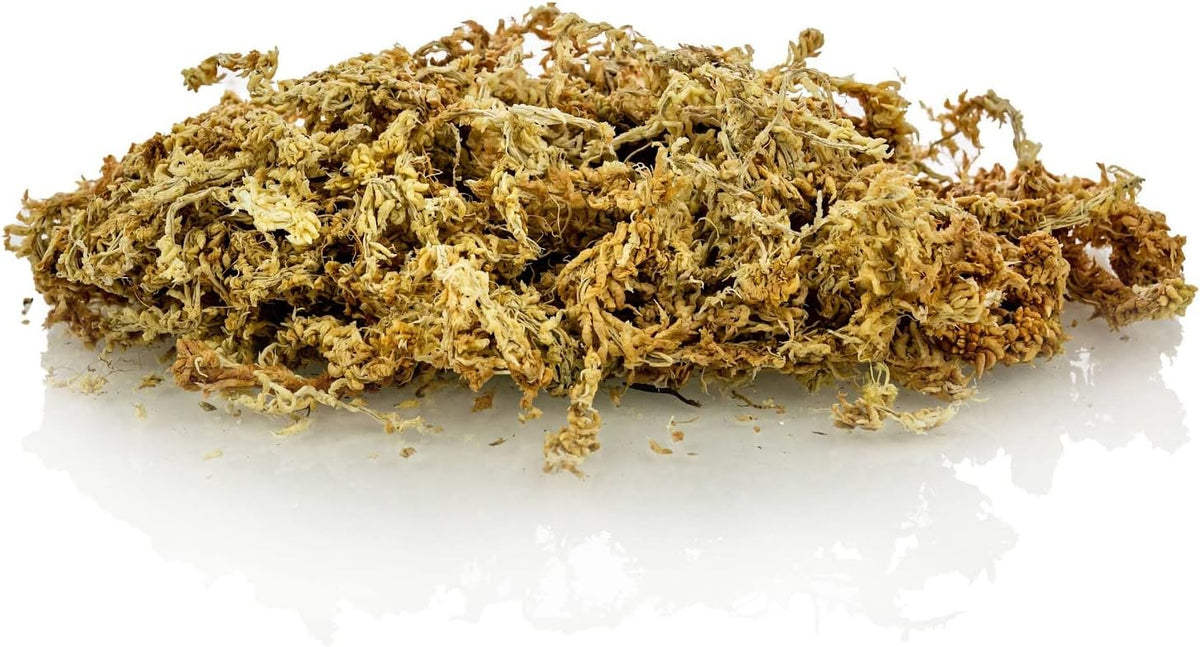 Premium New Zealand Sphagnum Moss by Gardenera - Organic Hand Mixed Long Fibered Sphagnum Moss