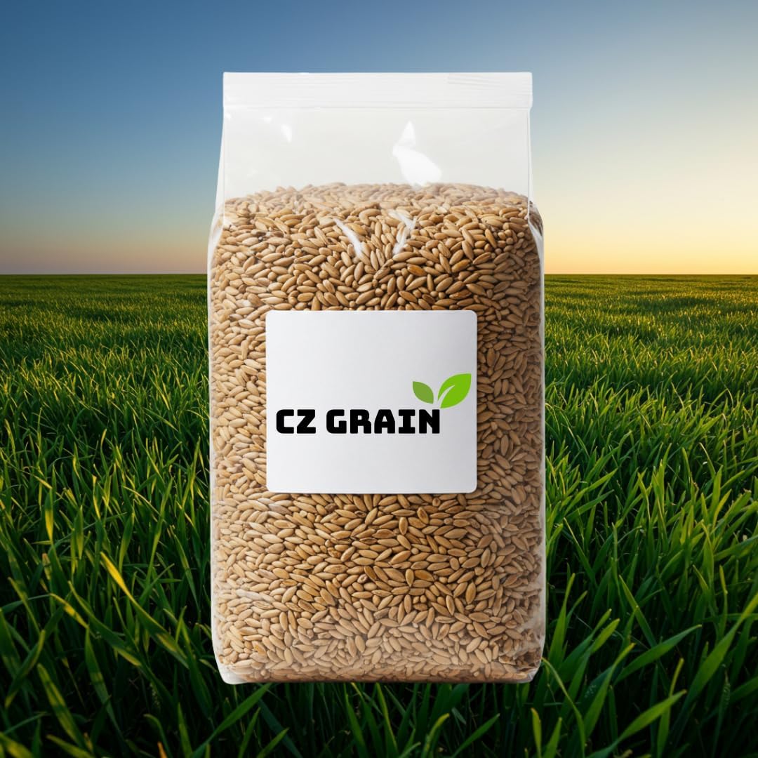 Perennial Ryegrass Seeds for Planting - Premium Quality Rye Grass Seed (20 Pounds)