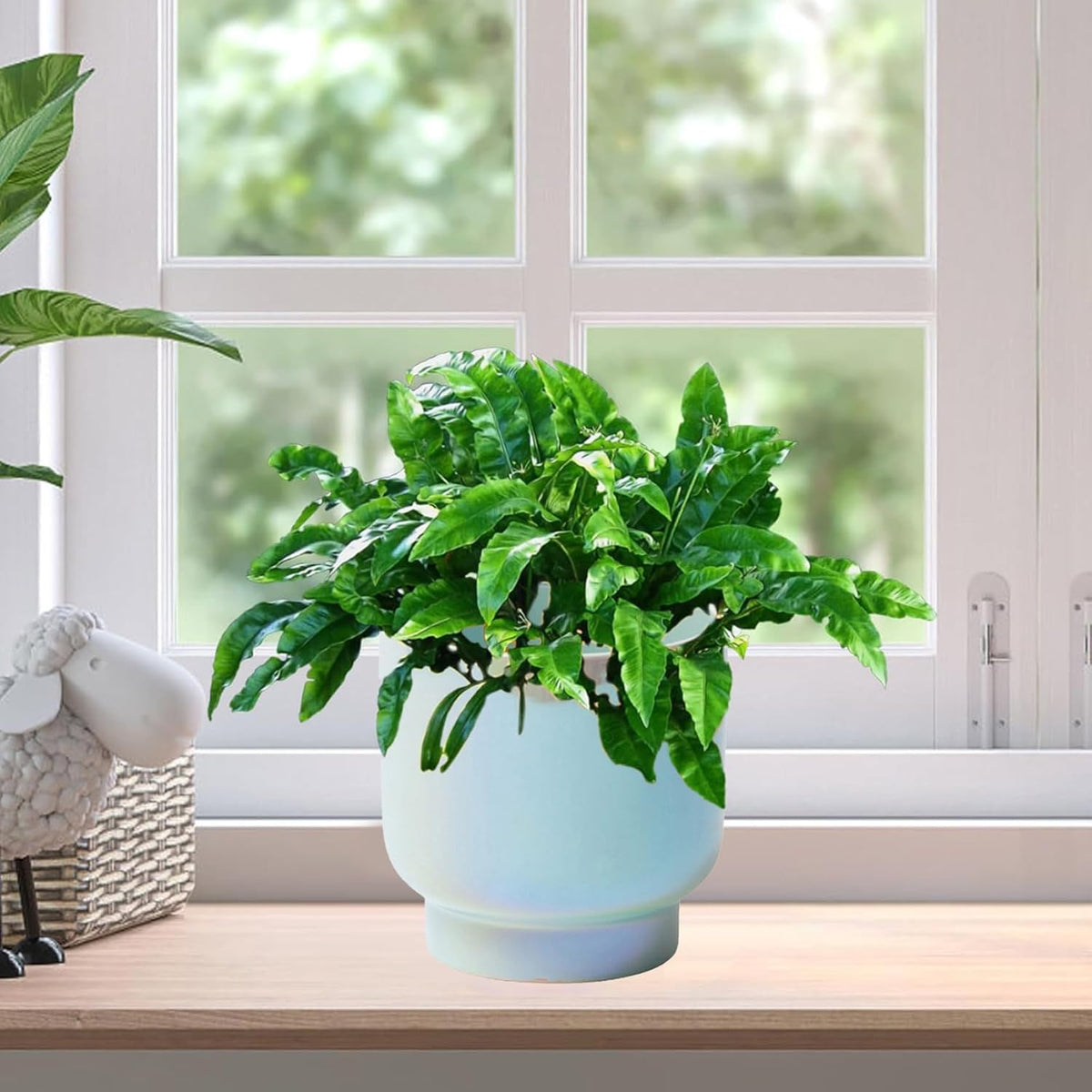 LB Blue Ceramic Planters for Indoor Plants, Succulent Plant Pots Ceramic Plant Pot, Modern Flower