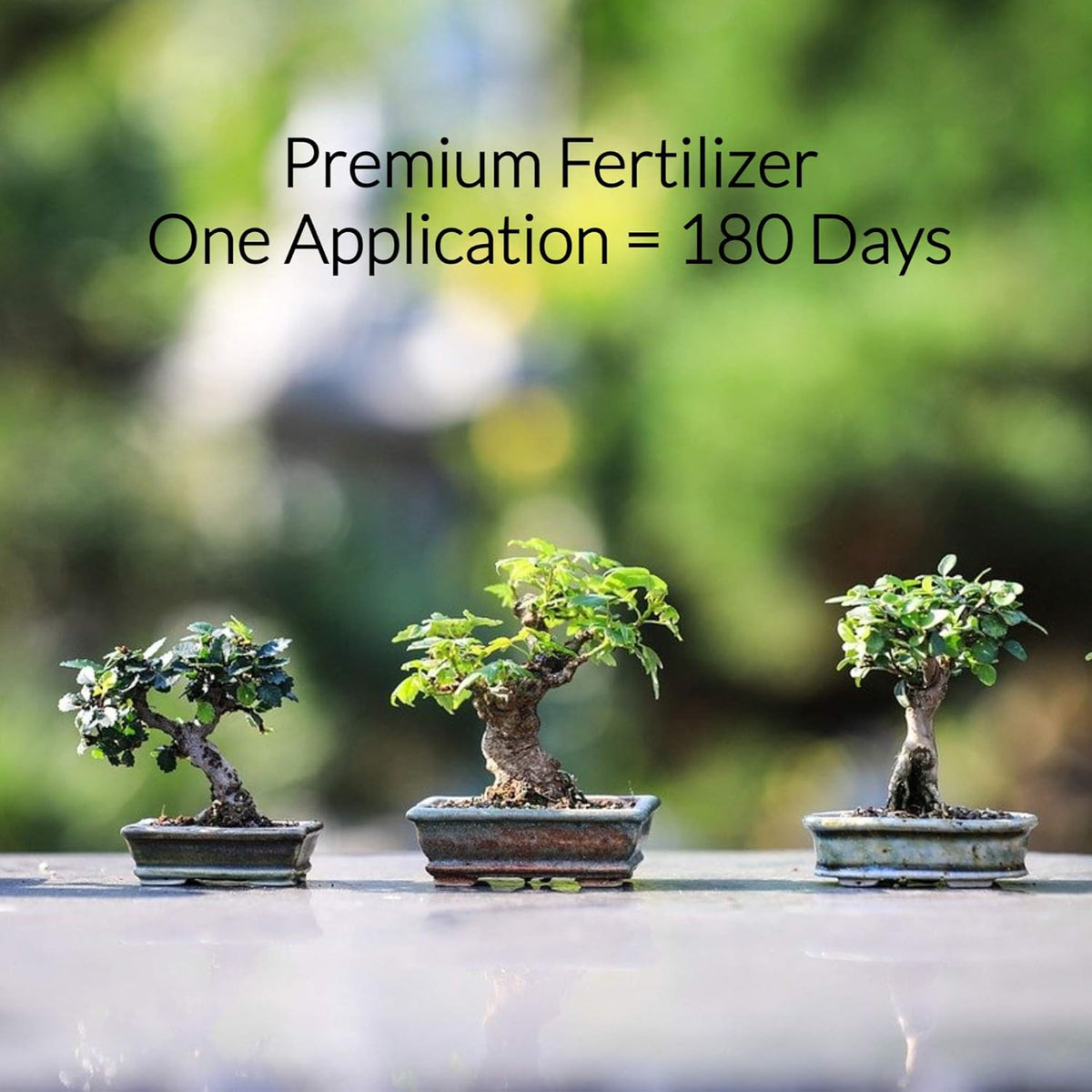 Leaves and Soul Bonsai Fertilizer Pellets |18-6-8 Slow Release Pellets for Seedlings, Mature