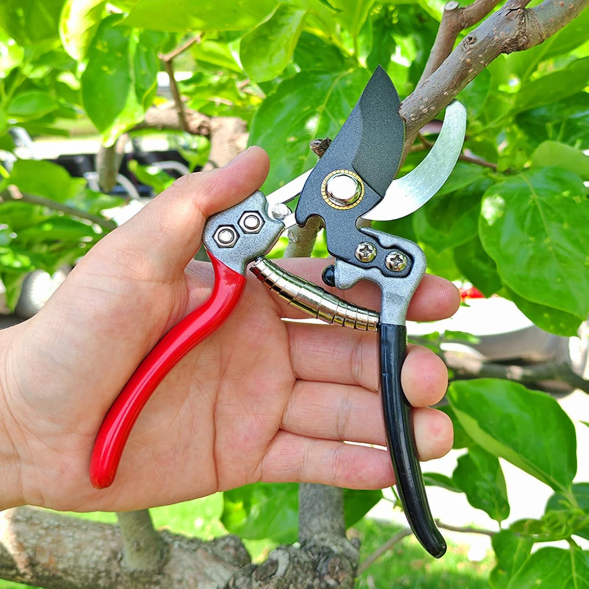 Ultra Sharp Germany Titanium Steel Pruning Shears - Cuts 3X Easier, Weak Hand Arthritis Snips