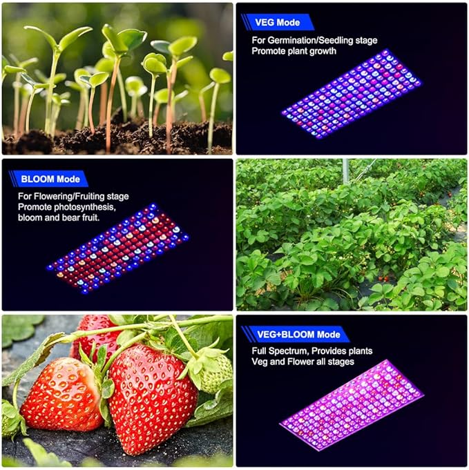 Upgraded BW1000 LED Grow Lights Double Chips Full Spectrum with 10ft Cable for Greenhouse and