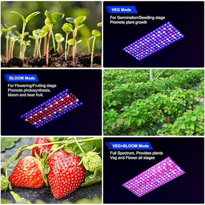 Upgraded BW1000 LED Grow Lights Double Chips Full Spectrum with 10ft Cable for Greenhouse and