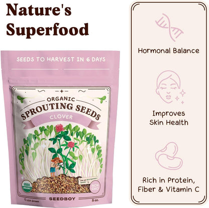 Seedboy Organic Non-GMO Clover Seeds for Sprouting - USA Grown Microgreens Sprouting Seeds - 8 oz