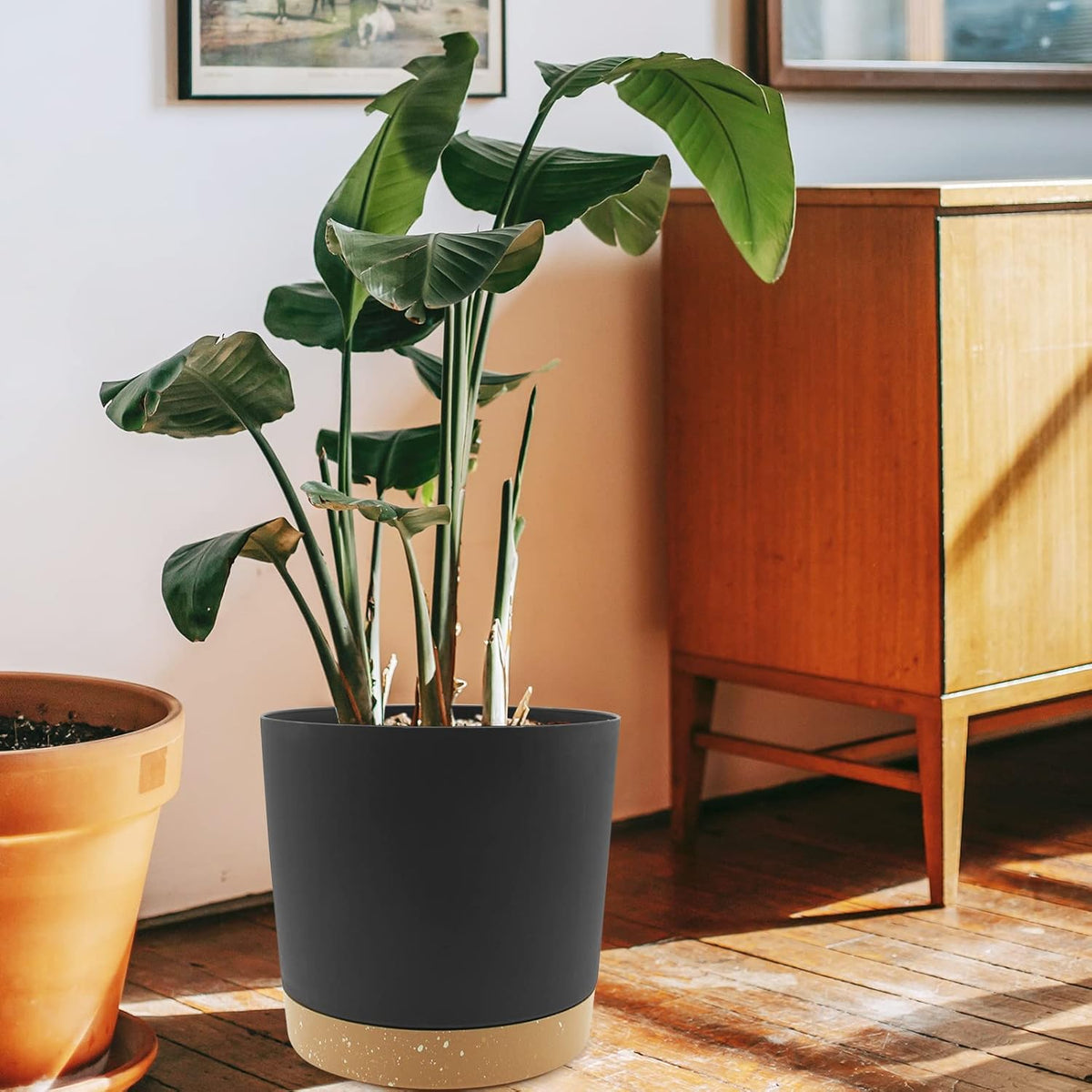 QCQHDU 10 inch Plant Pot, 2 Pack Planters for Indoor Plants with Drainage Holes & Saucer, Outdoor