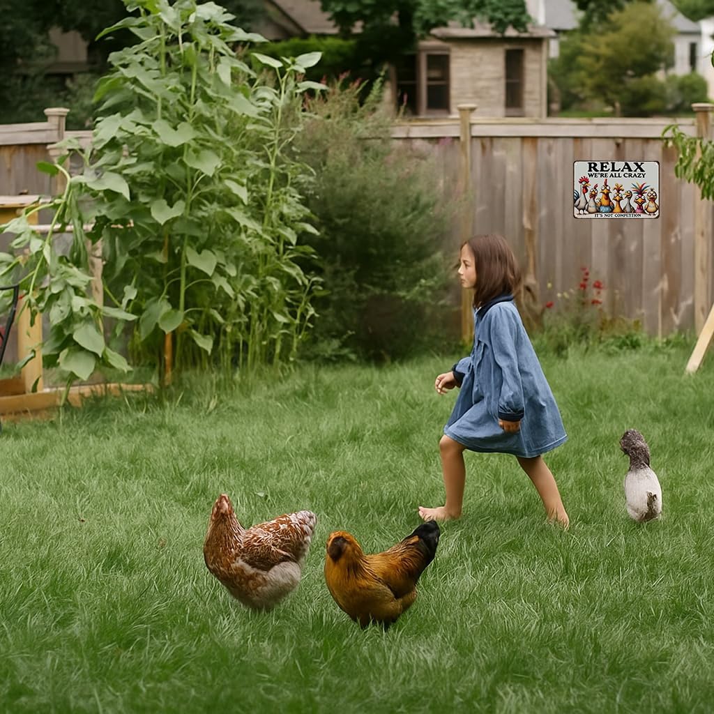 Funny Chicken Gifts Relax We‘re All Crazy It's Not Competition Tin Sign for Home Farm Chicken Coop
