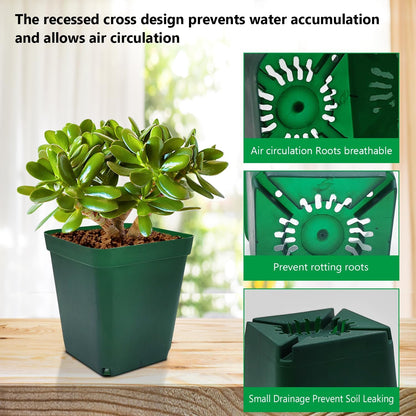 Square Nursery Seedling Pot 3.5 Inches 90 Pcs, Small Nursery Pot Plastic Thick and Sturdy Seed
