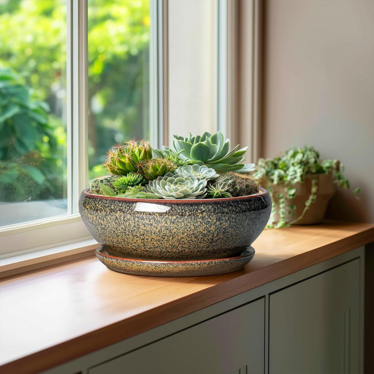 SQOWL Bonsai Planter - 10 Inch Ceramic Succulent Pots, Shallow Plant Pot Indoor with Drainage Hole