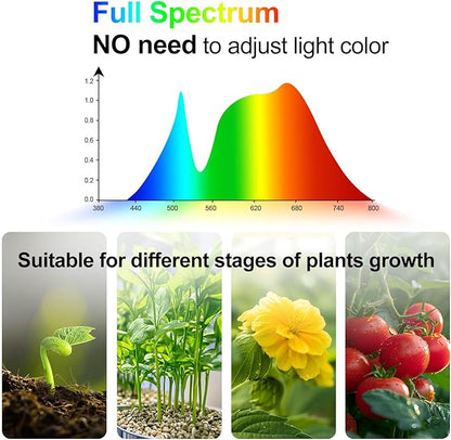 Grow Light with Stand and Timer 4,8,12 Hr, 36 Watt Standing Tall Plant Light for Bonsai Tree, Seed