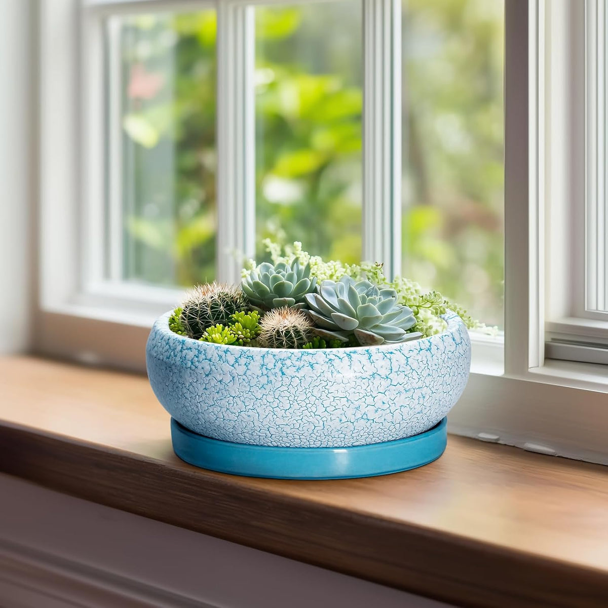 Succulent Pots 8 Inch - Ceramic Bonsai Pots with Drainage Hole and Saucer, Succulent Planters for