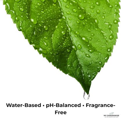 Leaf Shine Spray for Indoor Plants – Plant Leaf Cleaner & Shine for Real House Plants