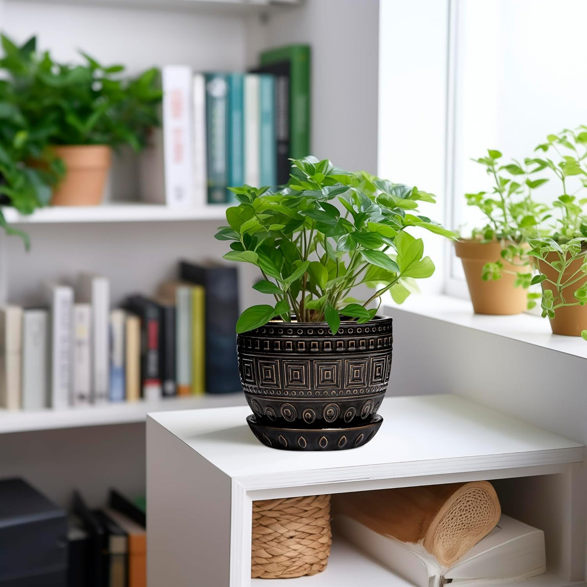G EPGardening Ceramic Plant Pot - 5.5 Inch Ceramic Planter for Indoor Plants, Boho Round Indoor