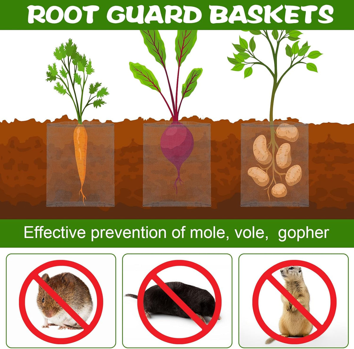 50 Pcs 1 Gallon Gopher and Vole Wire Mesh Basket Bulk Stainless Steel Plant Root Protector Gopher