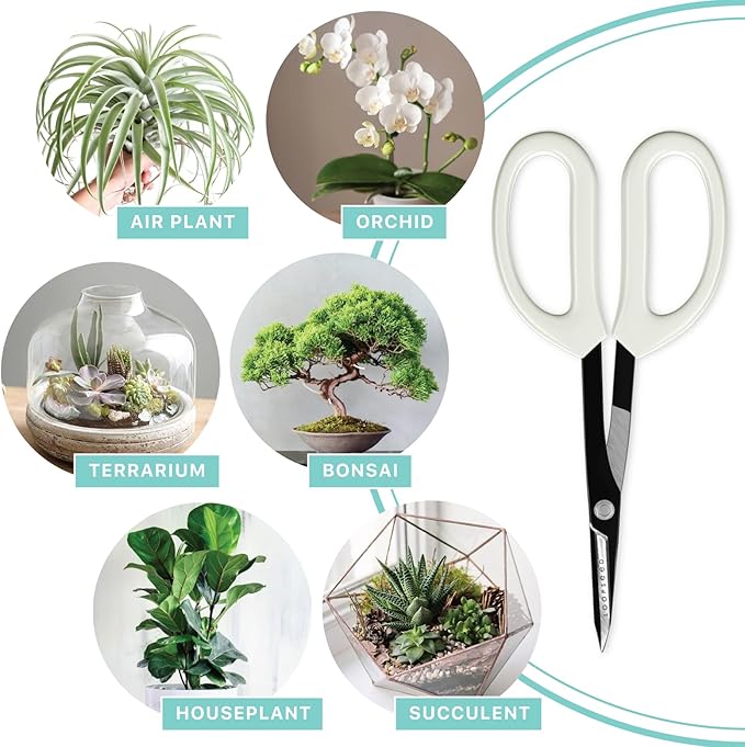 Precision Gardening Scissors Plant Trimming Pruning Shears Garden Pruners for Orchid Bonsai