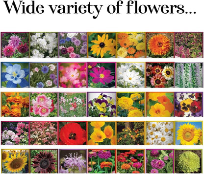 Gardeners Basics, Flower Seeds Packets for Planting 35 Individual Varieties Perennial, Annual