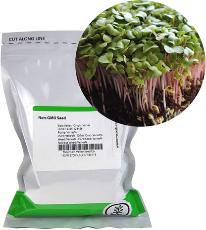 Radish Sprouting & Microgreens Seeds – Red Arrow Variety – 1 LB – Non-GMO, Heirloom – Fast-Growing