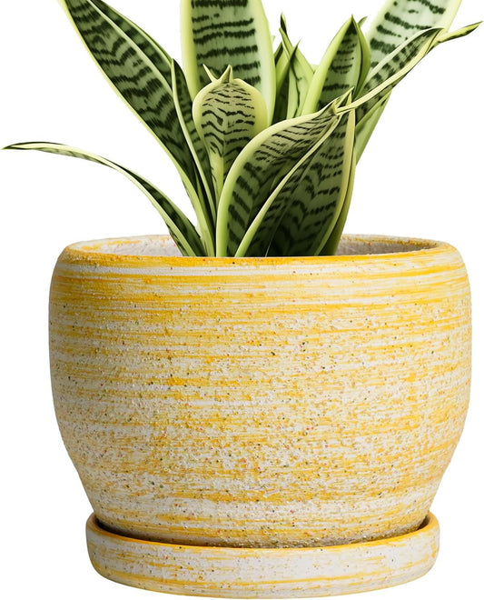 SQOWL Ceramic Planter - 6 Inch Plant Pot Indoor with Drainage Hole and Saucer, Decorative Ceramic