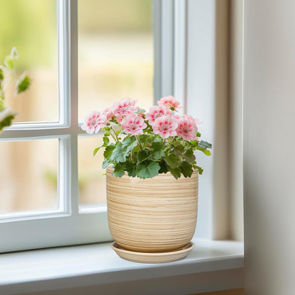 Ceramic Plant Pot 5 Inch - Modern Round Succulent Planter for Indoor Plants with Drainage Hole and