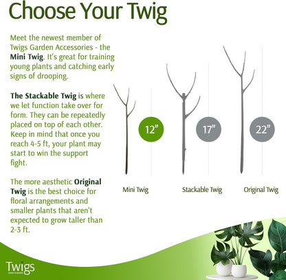 Twigs - Plant Support Stakes for Indoor, Outdoor & Climbing Plants, Gardening Supplies, Garden