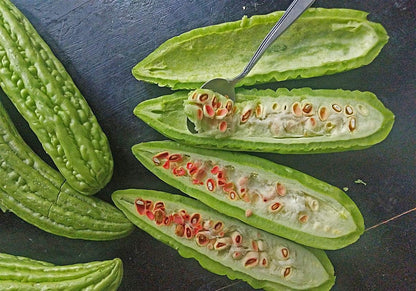 Gaea's Blessing Seeds - Bitter Melon Seeds - Bitter Gourd Heirloom Non-GMO Bittermelon Seeds with