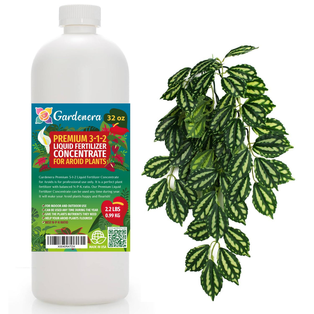 Premium Liquid AROID Plant Fertilizer - 3-1-2 Concentrate for Indoor Plants and Flowers by