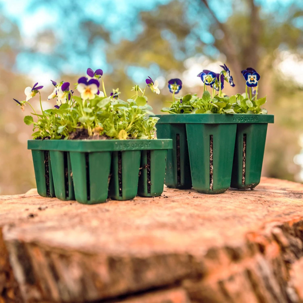 Vego garden Seedling Suite Products, 4 Pack Jumbo Seedling Trays and 4 Pack Standard Seedling Trays