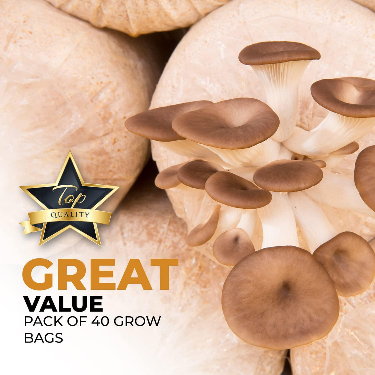 40 Pack, Mushroom Grow and Spawn Bags - Extra Thick Polypropylene Material, Tear Resistant - Size