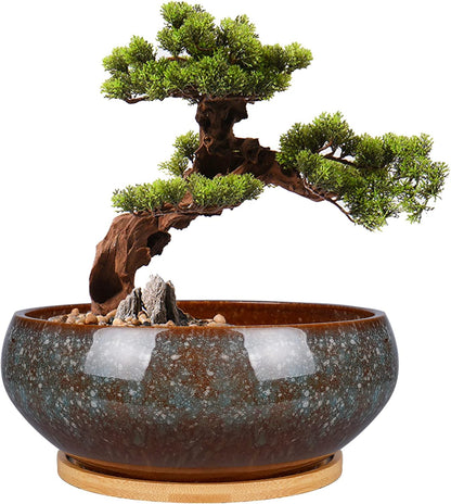 8 Inch Ceramic Bonsai Planter Pot, Glazed Shallow Succulent Planter with Drainage Hole and Bamboo