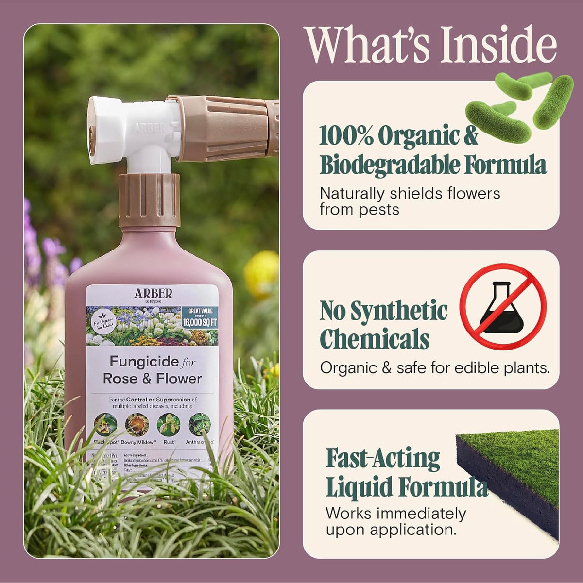 Organic Fungicide for Rose & Flower | 16oz Ready-to-Spray | Controls Powdery Mildew, Black Spot