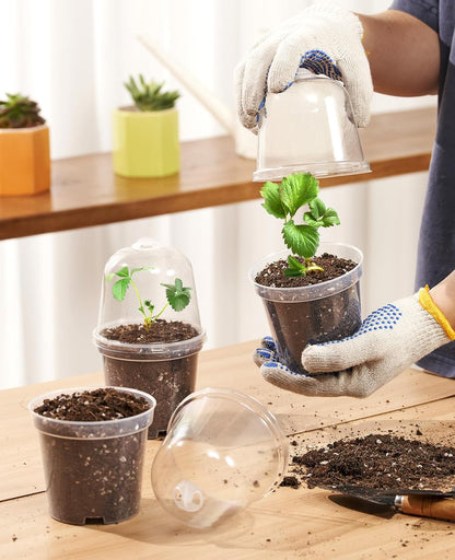 homenote Clear Nursery Pots for Plants,3/4/5 Inch Plant Pot for Planting with Humidity Domes