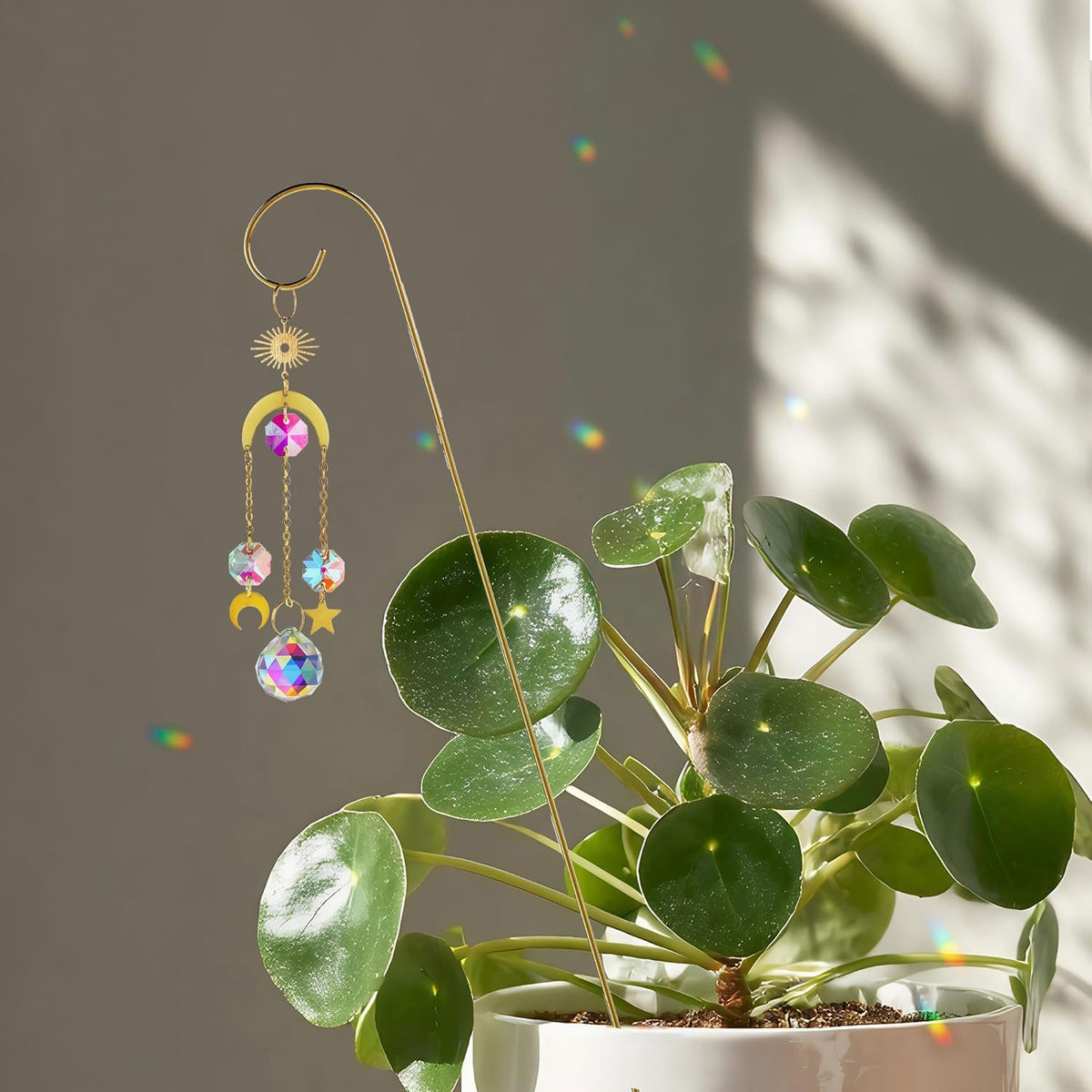HDCRYSTALGIFTS 6 Pack Small Trellis for Potted Plants Indoor with Colorful Crystal Sun Catcher